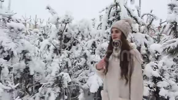 一个美丽的女孩走在白雪覆盖的森林里视频的预览图