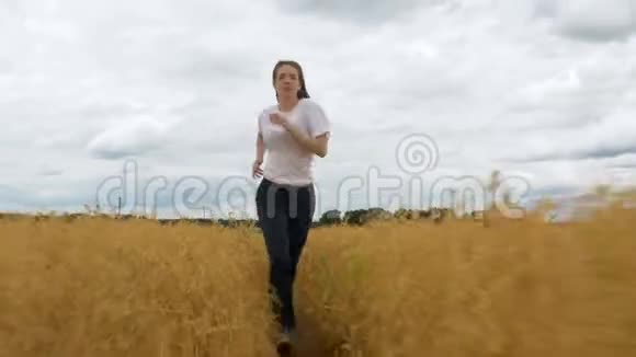 年轻女子跑过金色草地2视频的预览图