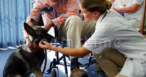 女医生和残疾老人在养老院抚摸小狗4k视频的预览图