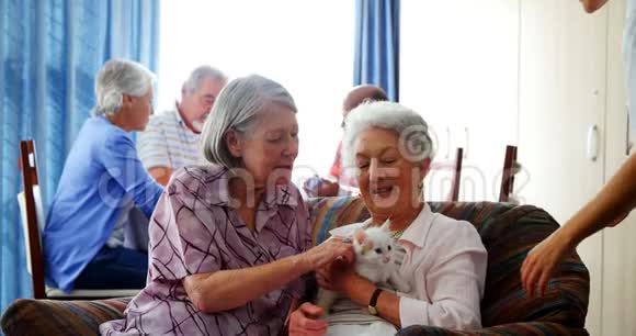 老年妇女在与医生4k互动时抚摸小猫视频的预览图