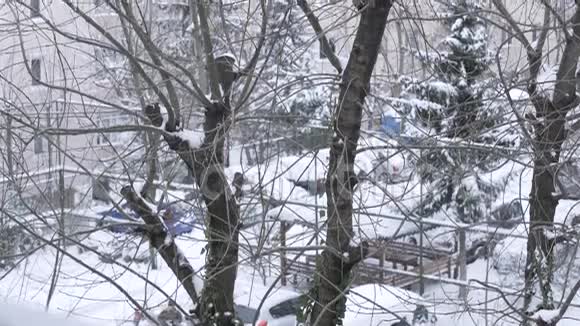 城里下雪的天气视频的预览图