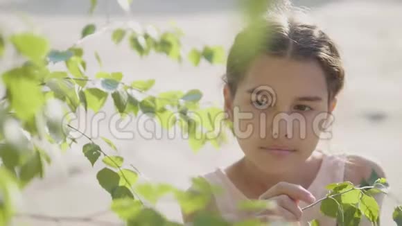 描绘美丽的小女孩俄罗斯树枝桦树叶子夏天生活方式慢动作视频情感视频的预览图