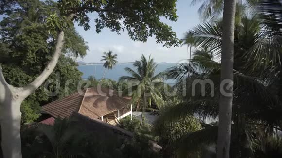 泰国海岛海滩房屋野山自然树和棕榈视频的预览图