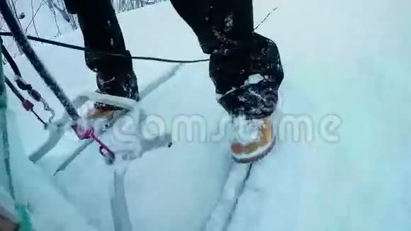 马舍雪橇的特写镜头视频的预览图