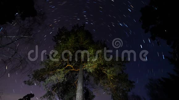 星星在树周围的天空中追踪视频的预览图