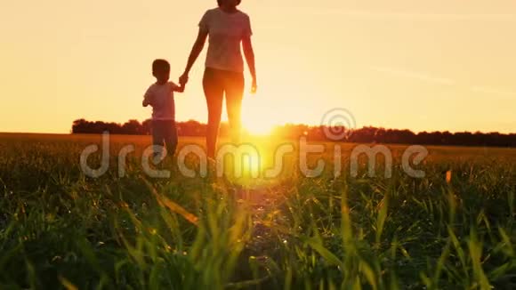 日落时分母亲和孩子正跑过田野妈妈和她儿子在一片绿色的草坪上跑来跑去运动视频的预览图