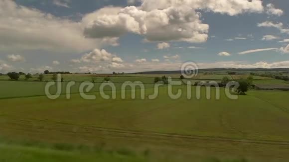 绿色的田野和蓝天视频的预览图
