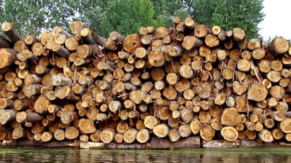 河边的木头视频的预览图