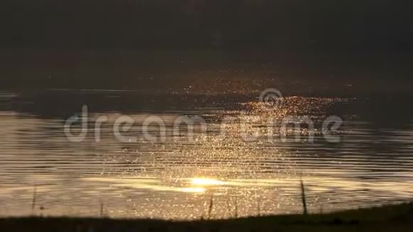 日落时湖上布满了许多金色的斑点视频的预览图