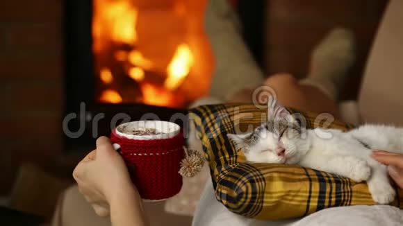 女人在沙发上放松喝着热饮料她的猫视频的预览图