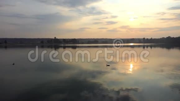 两只鸭子在阳光灿烂的夕阳下在森林湖里游泳视频的预览图