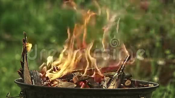 烧烤火在大自然中燃烧视频的预览图