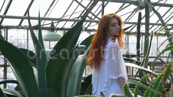 一个红发女孩穿着一件靠近芦荟的白色连衣裙视频的预览图