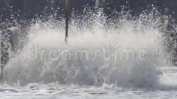 黑色水中桨轮曝气器的慢速运动视频的预览图