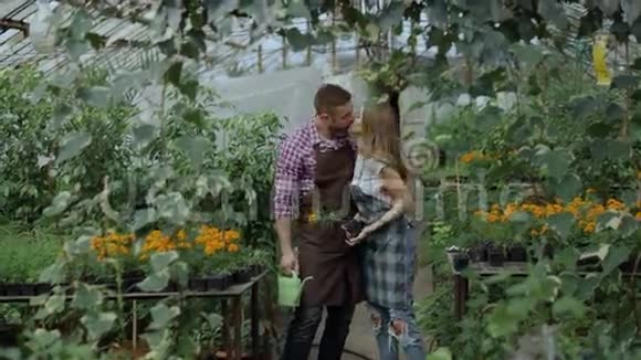 快乐的年轻花店家人穿着围裙在温室工作期间玩得很开心迷人的男人拥抱和亲吻他的妻子视频的预览图