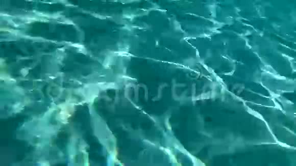 水下池光反射视频的预览图