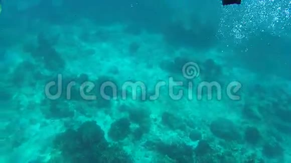 年轻人在清澈的蓝水中贪婪鼾声如雷的家伙高清水下走慢运动泰国西米兰岛视频的预览图