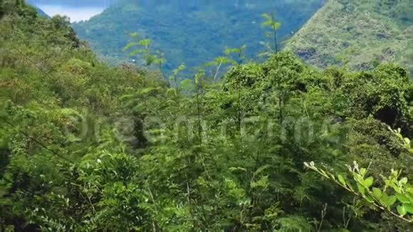 风景自然热带岛屿多岩山脉茂密的绿色丛林树木棕榈和海水海洋视频的预览图
