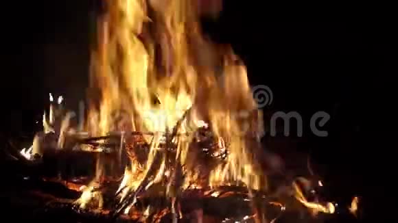夜间篝火视频的预览图