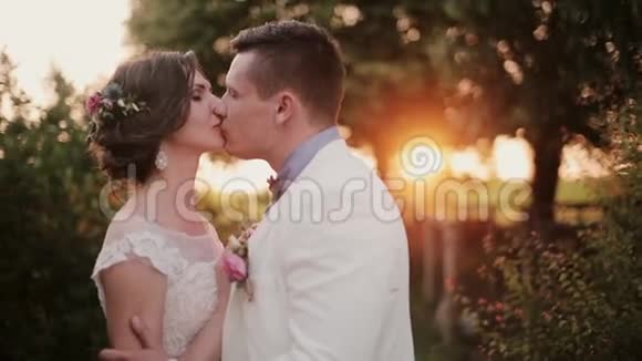 新婚之日幸福的恋人在日落时亲吻大自然中情人的美丽景色夕阳的光芒视频的预览图