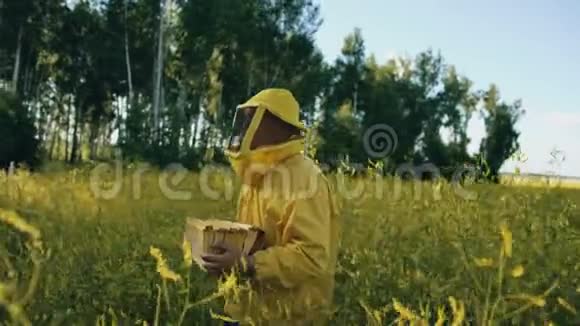 潘射中养蜂人用木架在花田里行走养蜂场工作视频的预览图