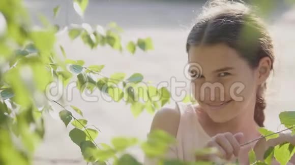 肖像美丽的小女孩俄罗斯树枝桦树树叶生活方式夏天慢动作视频情感视频的预览图