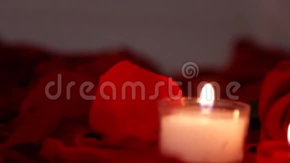 情人节玫瑰用蜡烛特写视频的预览图