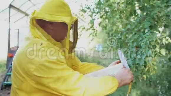 养蜂人在准备在养蜂场收获蜂蜜的蜂窝上切断蜡视频的预览图