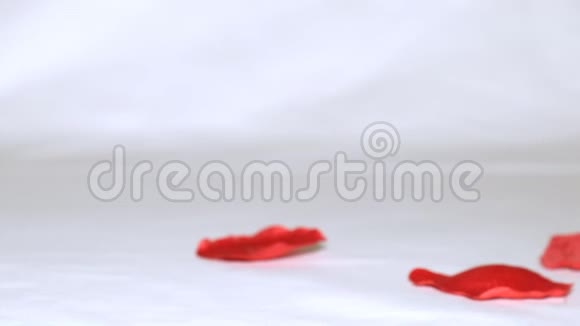 情人节玫瑰白色背景视频的预览图