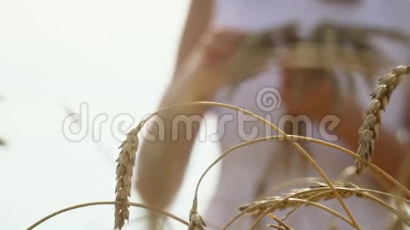 两个女孩手里拿着金麦穗从下面靠近在麦地收获穿白色裙子的女孩视频的预览图