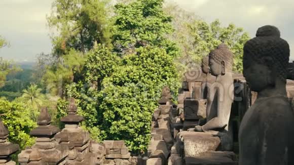 博罗布杜尔神庙墙上的佛像视频的预览图