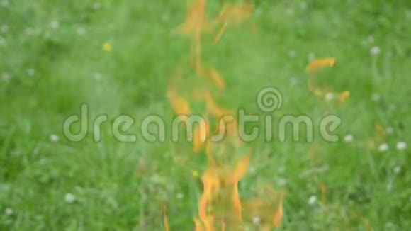 花园烧烤中火舌的特写镜头视频的预览图