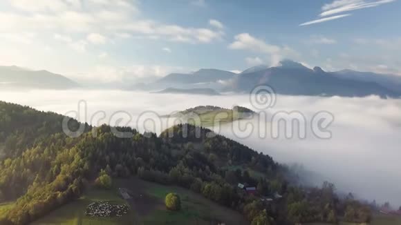 在乡村多彩秋日早晨在雾蒙蒙的景色中实现空中降落视频的预览图