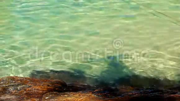石近滩和绿松石海软波视频的预览图