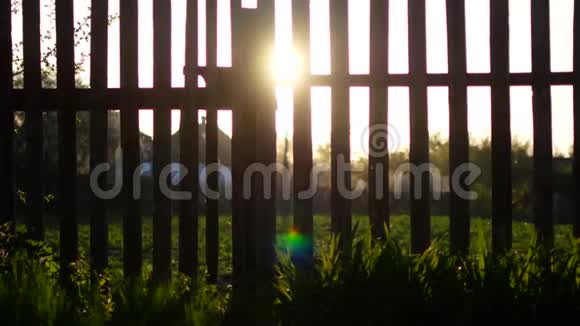 日出时太阳光束在木栅栏上耀斑视频的预览图