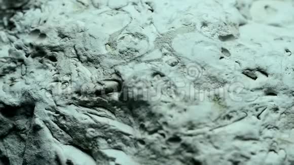带化石的波罗的海石灰岩视频的预览图