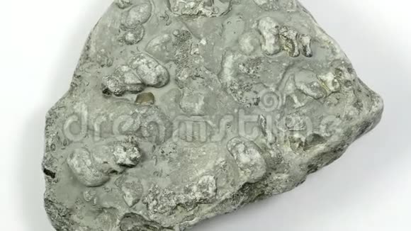 带化石的波罗的海石灰岩视频的预览图