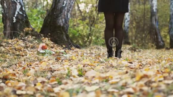 女性踏着城市公园色彩斑斓的秋叶特写腿部和鞋子视图在秋天漫步视频的预览图