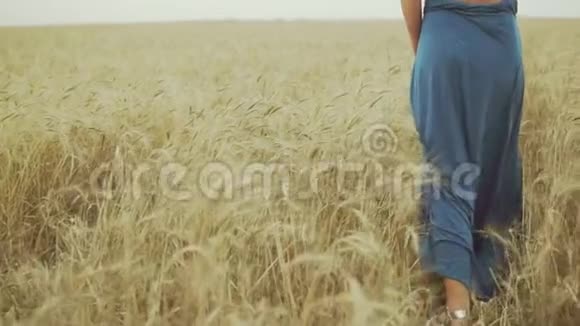 无法辨认的女人的后景她穿着蓝色长裙双腿穿过金色的麦田自由概念视频的预览图