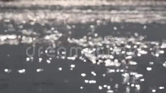 抽象性质波浪状的水面上闪烁着模糊的阳光视频的预览图