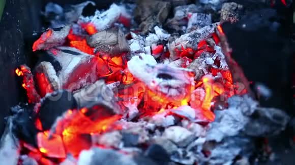 在烤架里烧烤煤视频的预览图