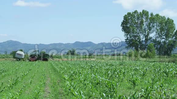 玉米地拖拉机视频的预览图