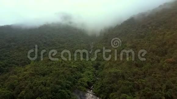 丛林中的河流与山峡之间的蛙泳视频的预览图