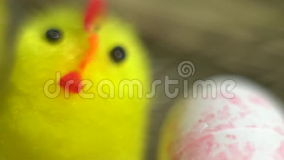鹌鹑蛋中的玩具鸡鸟场视频的预览图