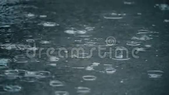 4K慢运动建立雨水落在路面上的镜头视频的预览图