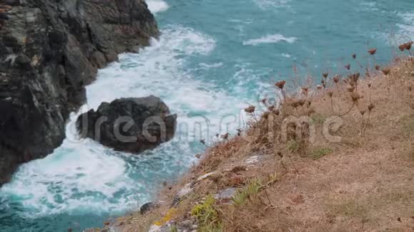 康沃尔凯南斯湾野生海水视频的预览图