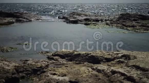 海岸附近浅层岩石上的绿藻视频的预览图