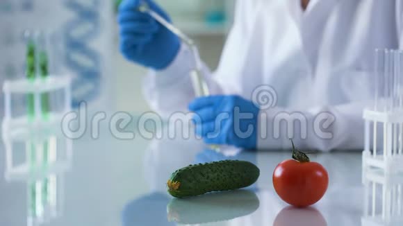 研究桌上的番茄和黄瓜转基因食品农业视频的预览图