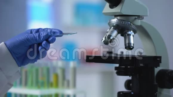 化验助理抽取血液样本作遗传学检查微生物学检查视频的预览图
