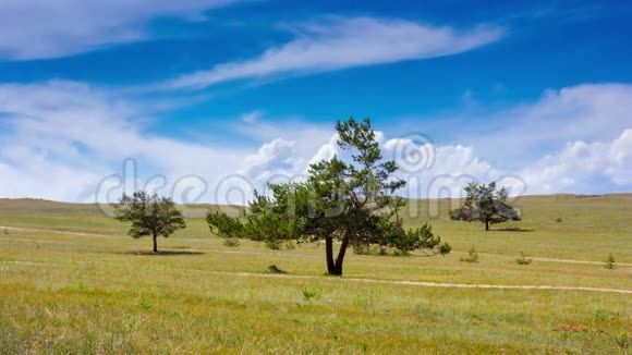 田园风光的时间流逝田野里有三棵树蓝天和云彩视频的预览图